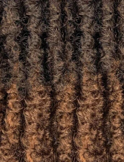 Outre X-Pression Twisted Up Springy Afro Twist 24" Synthetic Hair Crochet Braid -Beauty and Company 2T1B 30
