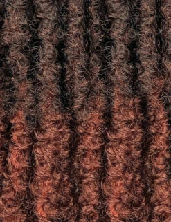 Outre X-Pression Twisted Up Springy Afro Twist 24" Synthetic Hair Crochet Braid -Beauty and Company 2T1B 350