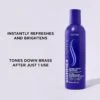 SHIMMER LT SHAMPOO 8OZ - (CL01556)