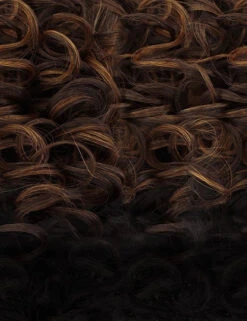 QPOPCHC OUTRE WIGPOP CHANCE WIG -Beauty and Company DX Chocolate Swirl