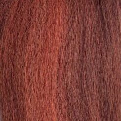 OUTRE LACE FRONT WIG KASILDA HT 15 OUTRE LACE FRONT WIG KASILDA HT -Beauty and Company drff2cinnamonspice 700x700 3d135402 87ff 43dc ab3f b5b74e9bf388